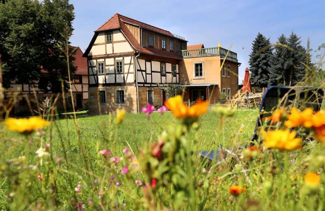 Ferienhaus Lindenhof Graupa-1