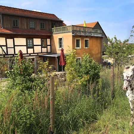 Ferienhaus Lindenhof Graupa-3